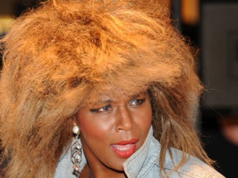 a tribute to tina turner